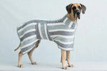 Great Dane wearing the gray striped quick-dry pet bath robe